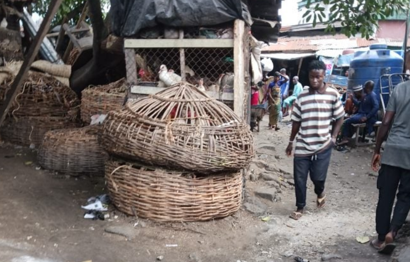 Lagos begins investigation into sale of dead chickensort